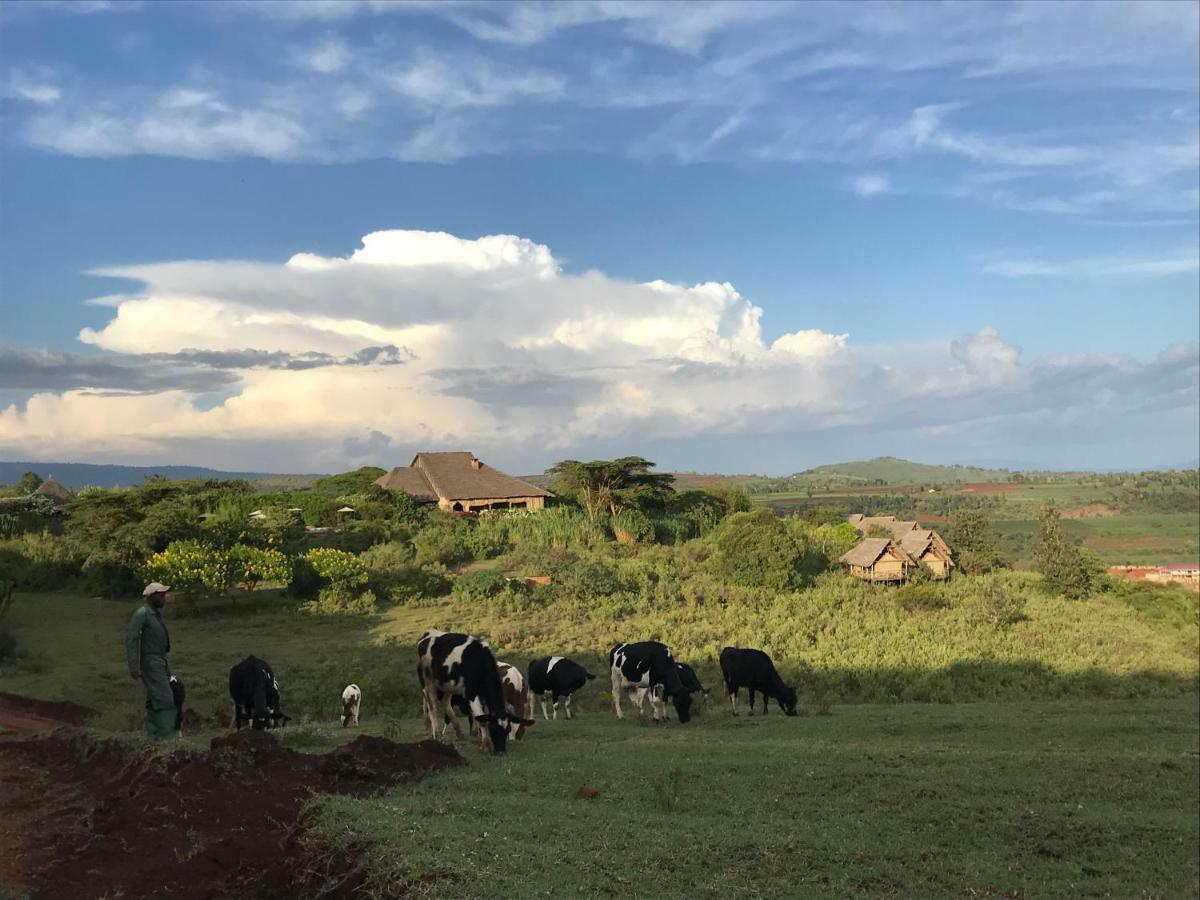 Rhotia Valley Tented Lodge And Children'S Home Karatu Buitenkant foto