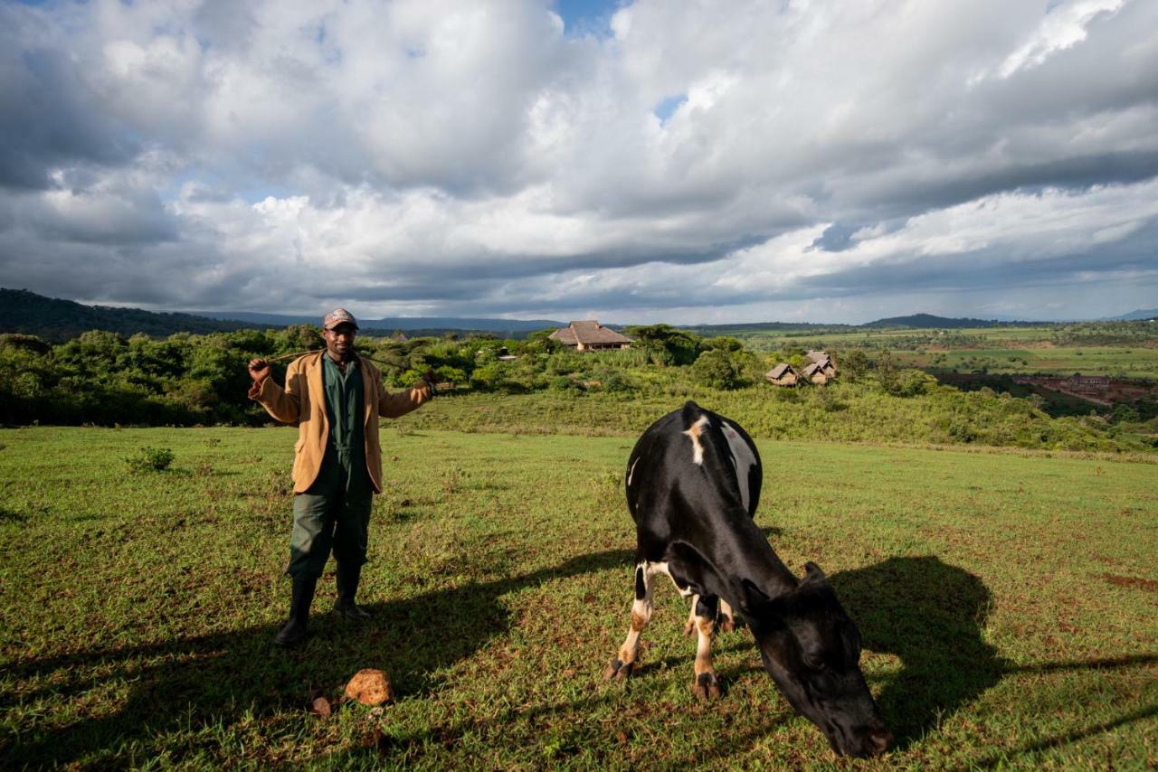 Rhotia Valley Tented Lodge And Children'S Home Karatu Buitenkant foto